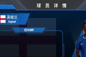 切尔西边路快马 马杜埃凯个人精彩瞬间